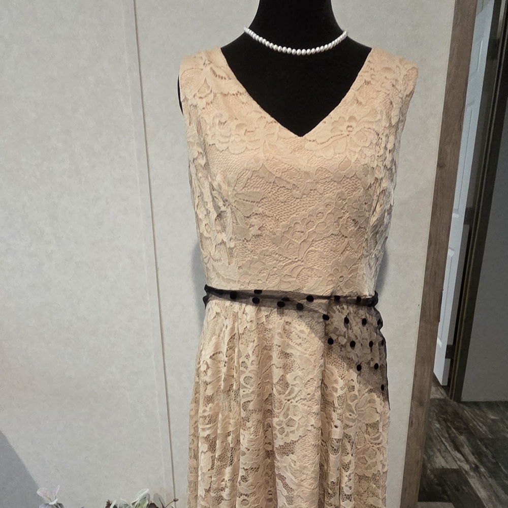 Chic Cream and Black High Low Dress